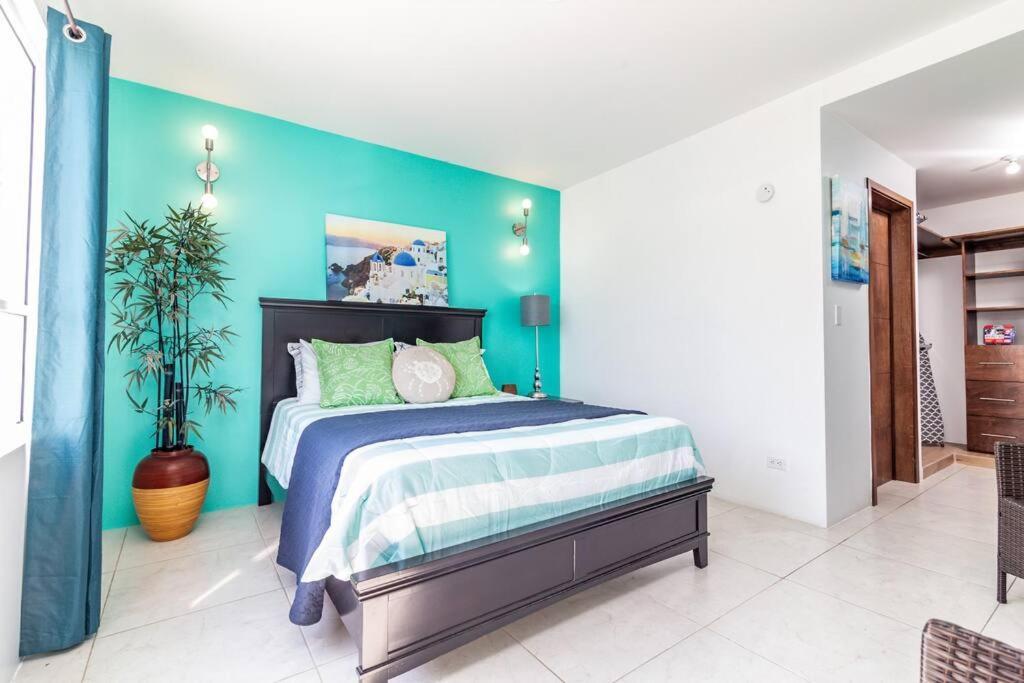 Bright Chick Condo 19 Gardenhaus Тихуана Экстерьер фото